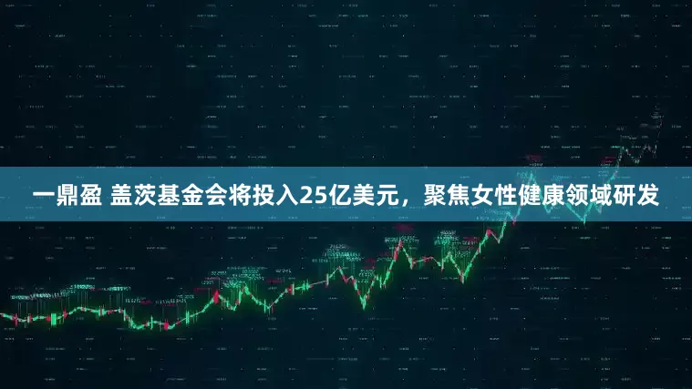 一鼎盈 盖茨基金会将投入25亿美元，聚焦女性健康领域研发